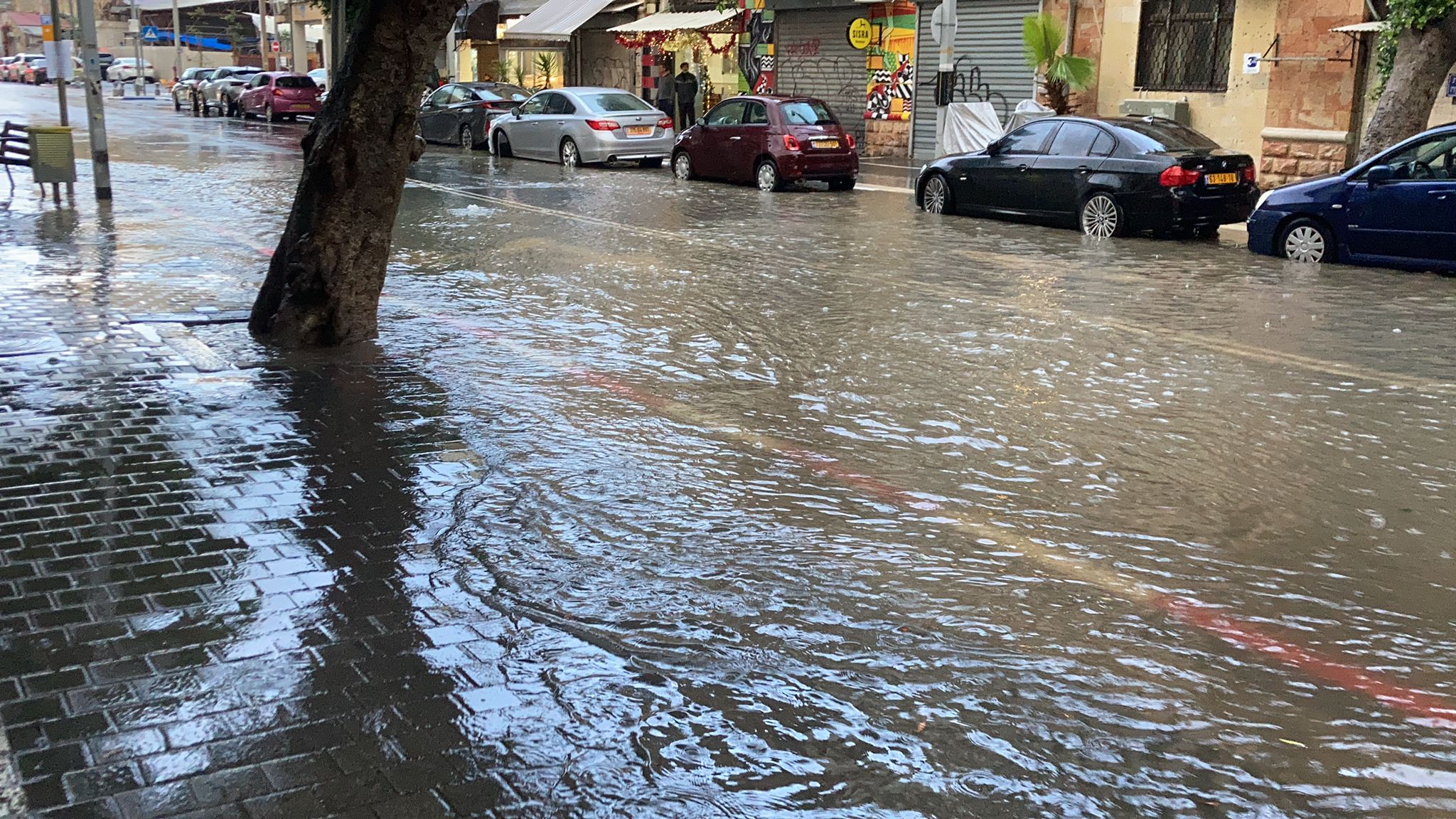 WhatsApp Image 2021-12-21 at 4.07.36 PM.jpeg